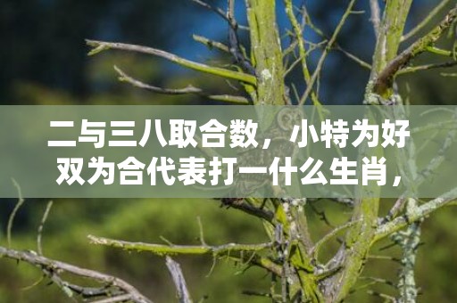 二与三八取合数，小特为好双为合代表打一什么生肖，成语落实解释释义