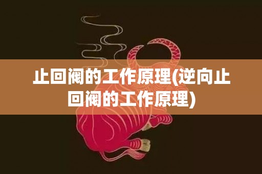 止回阀的工作原理(逆向止回阀的工作原理)