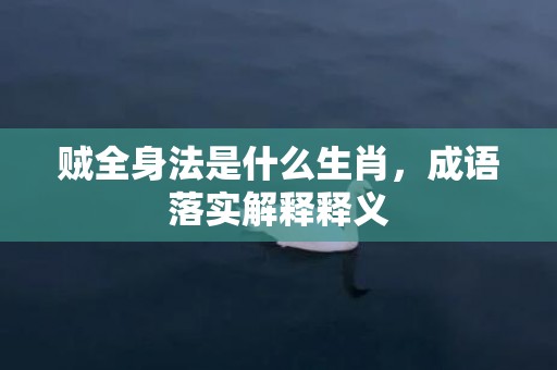 贼全身法是什么生肖，成语落实解释释义