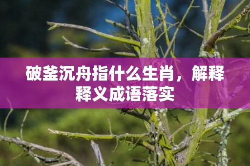 破釜沉舟指什么生肖，解释释义成语落实