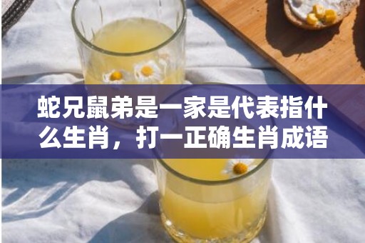蛇兄鼠弟是一家是代表指什么生肖，打一正确生肖成语落实释义