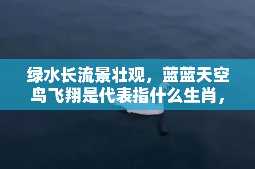 绿水长流景壮观，蓝蓝天空鸟飞翔是代表指什么生肖，打一正确生肖成语落实释义