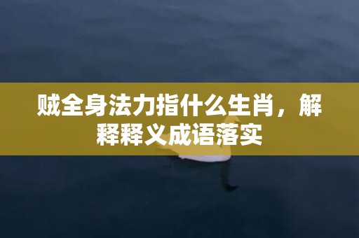 贼全身法力指什么生肖，解释释义成语落实