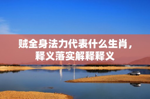 贼全身法力代表什么生肖，释义落实解释释义