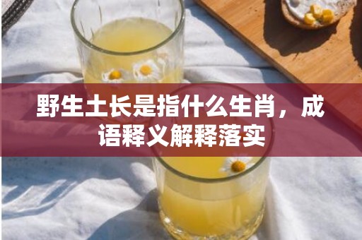 野生土长是指什么生肖，成语释义解释落实