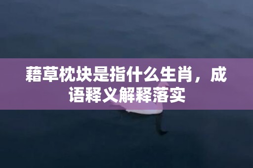 藉草枕块是指什么生肖，成语释义解释落实