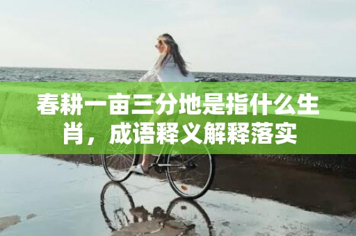 春耕一亩三分地是指什么生肖，成语释义解释落实