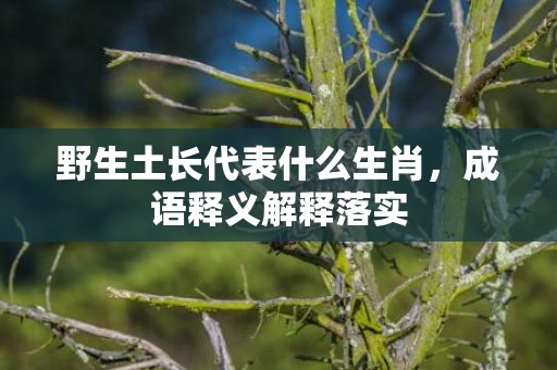 野生土长代表什么生肖，成语释义解释落实