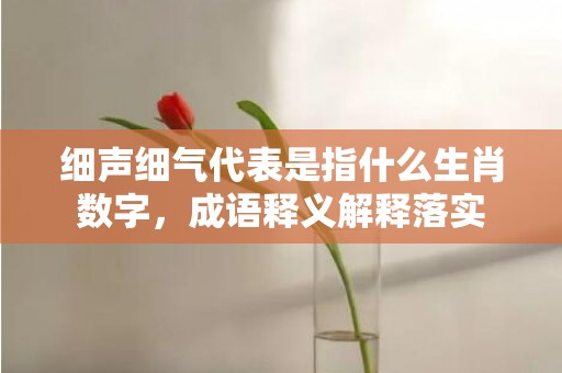 细声细气代表是指什么生肖数字，成语释义解释落实