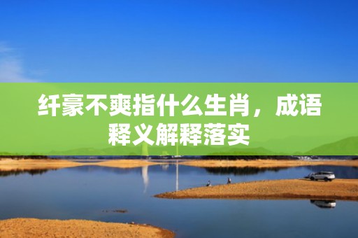 纤豪不爽指什么生肖，成语释义解释落实
