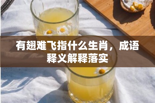 有翅难飞指什么生肖，成语释义解释落实