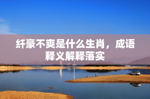 纤豪不爽是什么生肖，成语释义解释落实