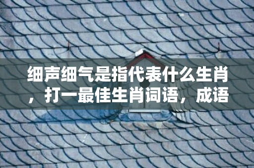 细声细气是指代表什么生肖，打一最佳生肖词语，成语释义解释落实