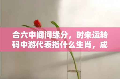 合六中间问缘分，时来运转码中游代表指什么生肖，成语落实解释释义