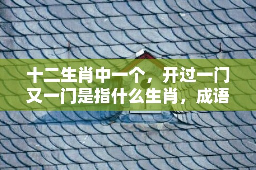 十二生肖中一个，开过一门又一门是指什么生肖，成语落实解释释义