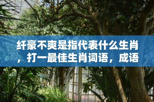 纤豪不爽是指代表什么生肖，打一最佳生肖词语，成语释义解释落实