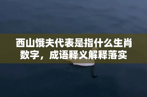 西山饿夫代表是指什么生肖数字，成语释义解释落实