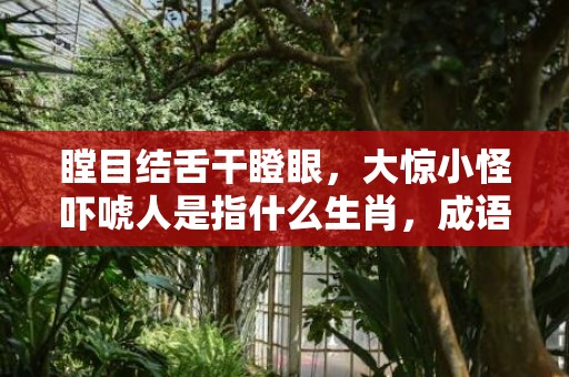 瞠目结舌干瞪眼，大惊小怪吓唬人是指什么生肖，成语落实解释释义