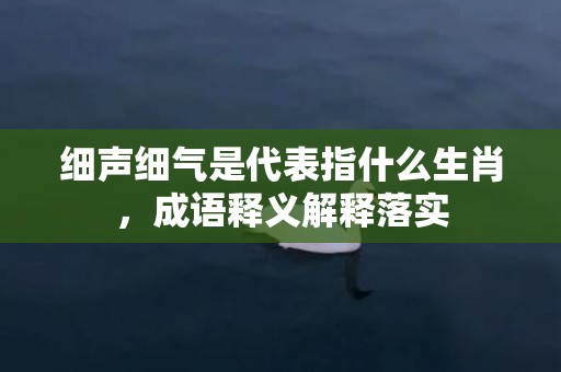 细声细气是代表指什么生肖，成语释义解释落实