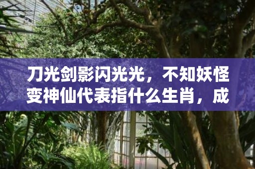 刀光剑影闪光光，不知妖怪变神仙代表指什么生肖，成语落实解释释义