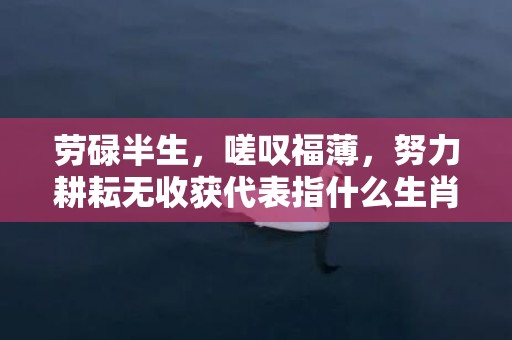 劳碌半生，嗟叹福薄，努力耕耘无收获代表指什么生肖，成语落实解释释义