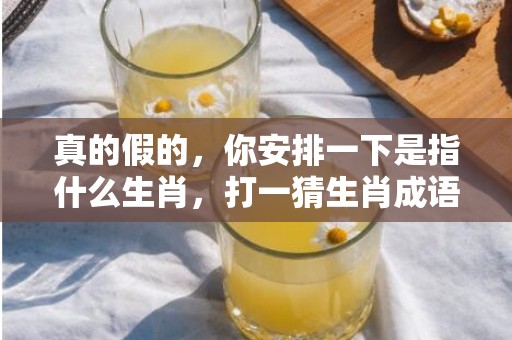 真的假的，你安排一下是指什么生肖，打一猜生肖成语落实解释释义