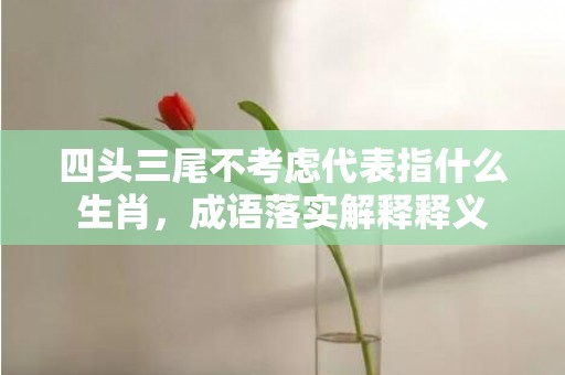 四头三尾不考虑代表指什么生肖，成语落实解释释义