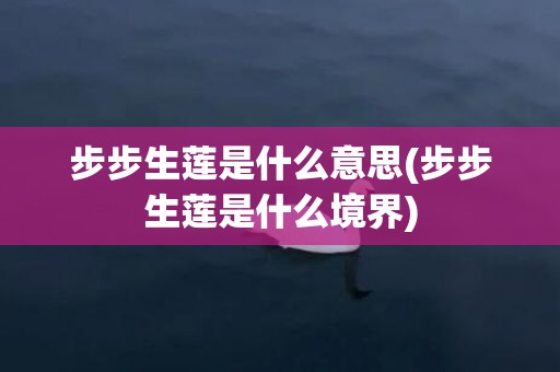 步步生莲是什么意思(步步生莲是什么境界)