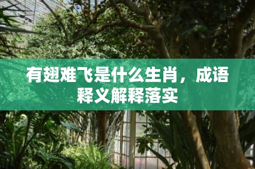 有翅难飞是什么生肖，成语释义解释落实