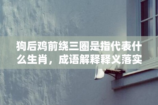 狗后鸡前绕三圈是指代表什么生肖，成语解释释义落实