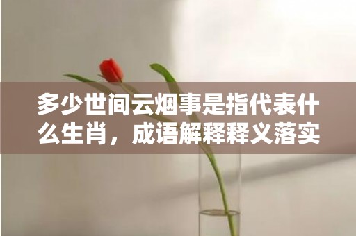 多少世间云烟事是指代表什么生肖，成语解释释义落实