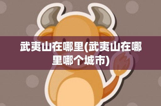 武夷山在哪里(武夷山在哪里哪个城市)