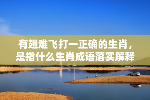 有翅难飞打一正确的生肖，是指什么生肖成语落实解释释义