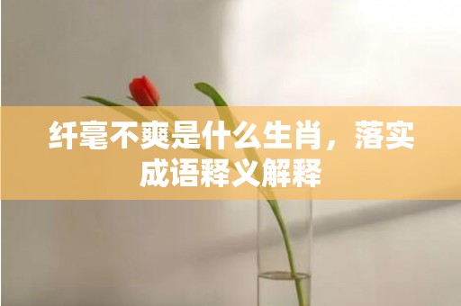 纤毫不爽是什么生肖，落实成语释义解释
