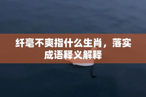 纤毫不爽指什么生肖，落实成语释义解释