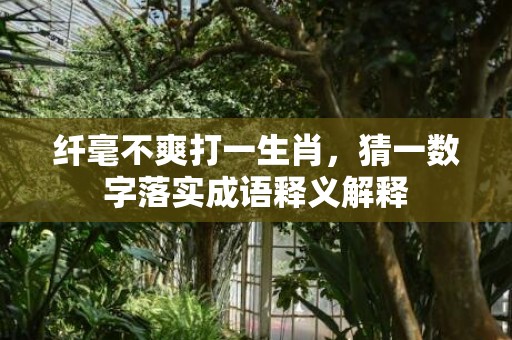 纤毫不爽打一生肖，猜一数字落实成语释义解释