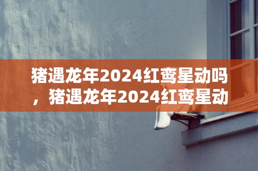 猪遇龙年2024红鸾星动吗，猪遇龙年2024红鸾星动吗