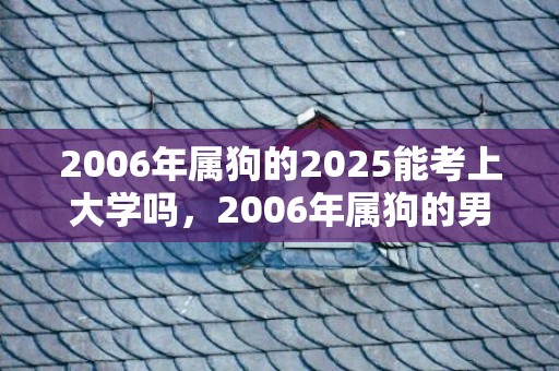 2006年属狗的2025能考上大学吗，2006年属狗的男孩学什么专业好