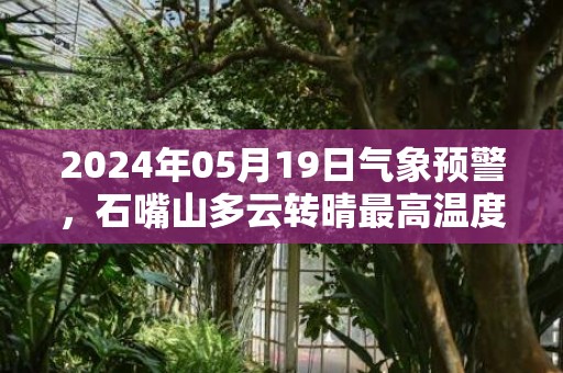 2024年05月19日气象预警，石嘴山多云转晴最高温度31度