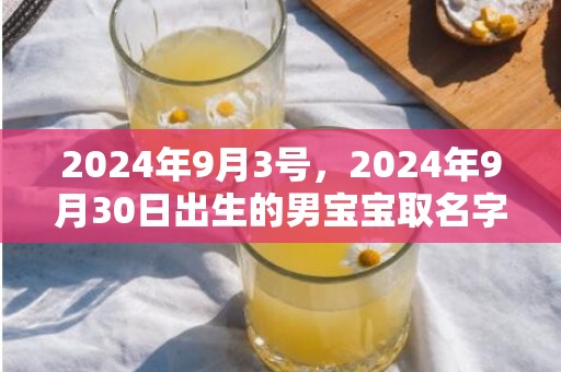 2024年9月3号，2024年9月30日出生的男宝宝取名字