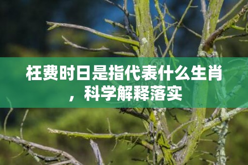 枉费时日是指代表什么生肖，科学解释落实