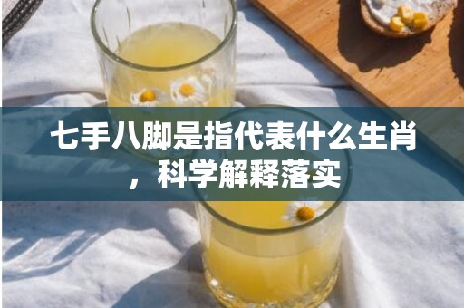 七手八脚是指代表什么生肖，科学解释落实插图