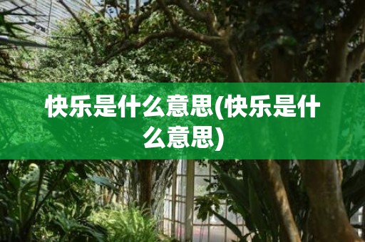 快乐是什么意思(快乐是什么意思)