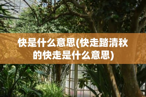 快是什么意思(快走踏清秋的快走是什么意思)