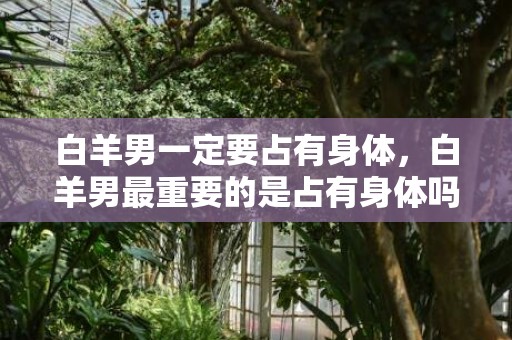 白羊男一定要占有身体，白羊男最重要的是占有身体吗？