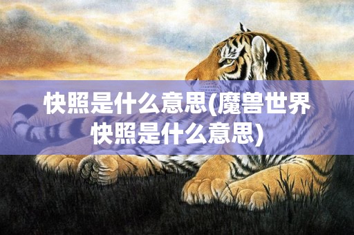 快照是什么意思(魔兽世界快照是什么意思)