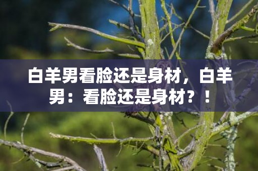 白羊男看脸还是身材，白羊男：看脸还是身材？！