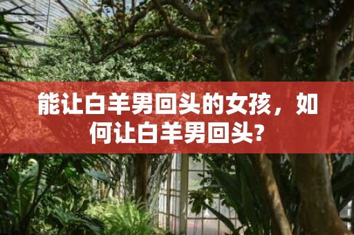 能让白羊男回头的女孩，如何让白羊男回头?