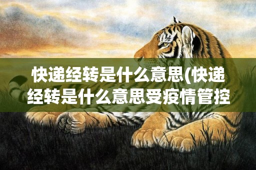 快递经转是什么意思(快递经转是什么意思受疫情管控)