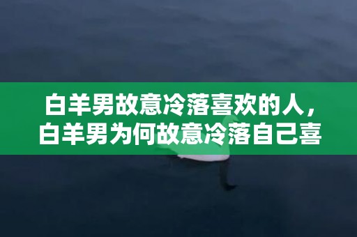 白羊男故意冷落喜欢的人，白羊男为何故意冷落自己喜欢的人？